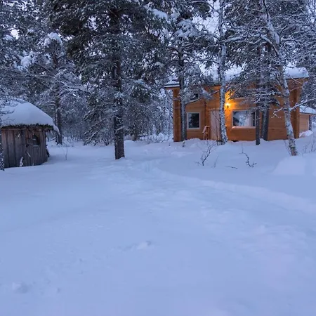 Hirsi - The White Blue Wilderness