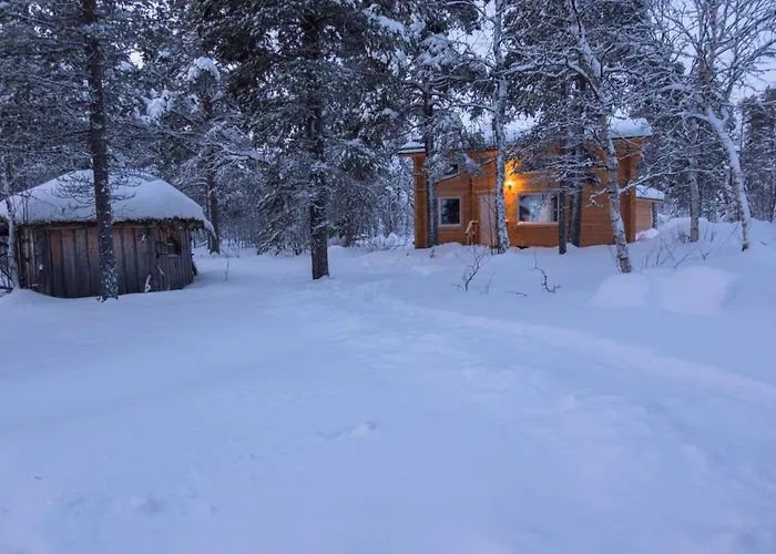 Hirsi - The White Blue Wilderness